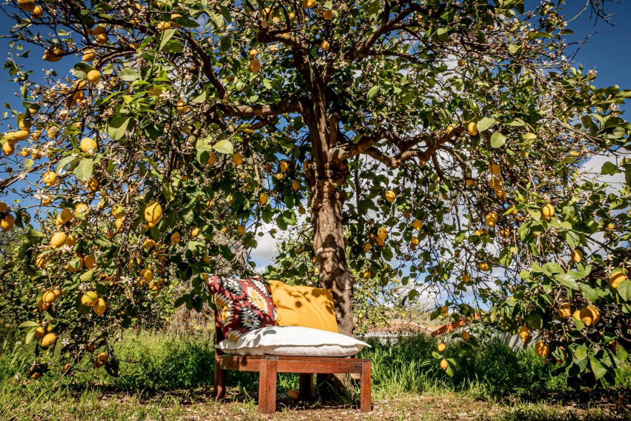 Finca El Limonar Álora Eksteriør billede