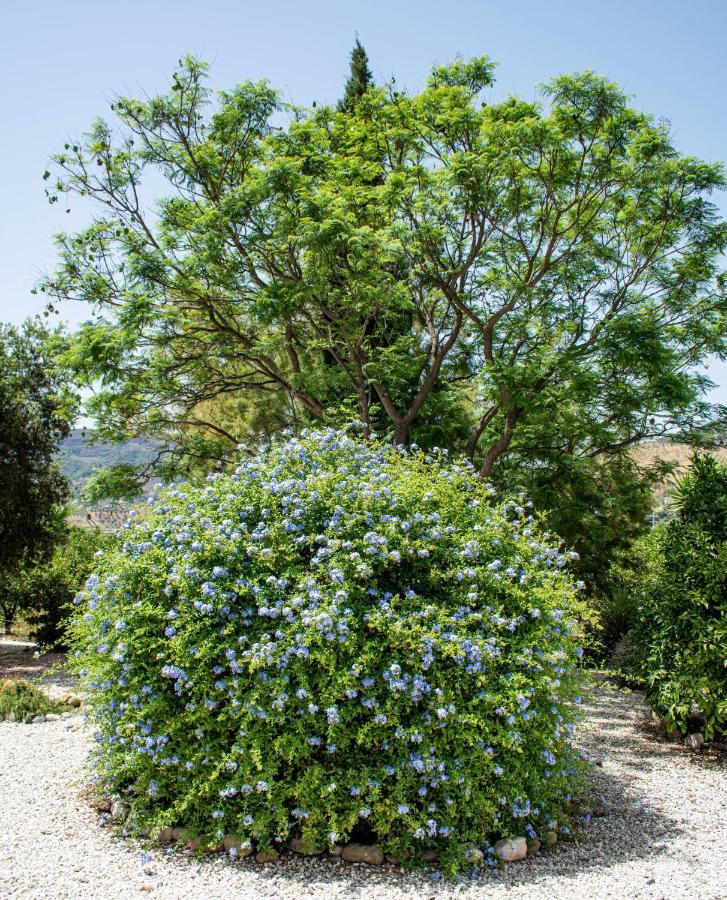 Finca El Limonar Álora Eksteriør billede